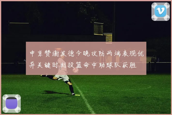 申京赞谢泼德今晚攻防两端表现优异关键时刻投篮命中助球队获胜