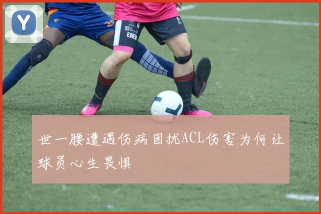 世一腰遭遇伤病困扰ACL伤害为何让球员心生畏惧