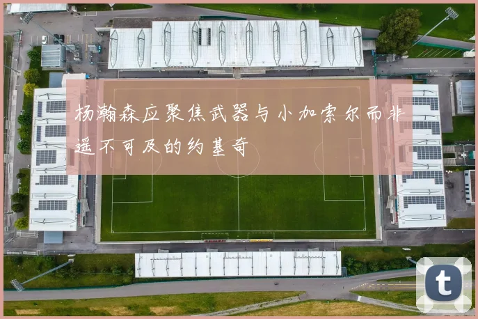 杨瀚森应聚焦武器与小加索尔而非遥不可及的约基奇