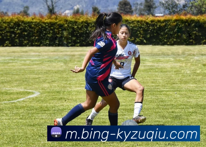 开云足球APP 封面图